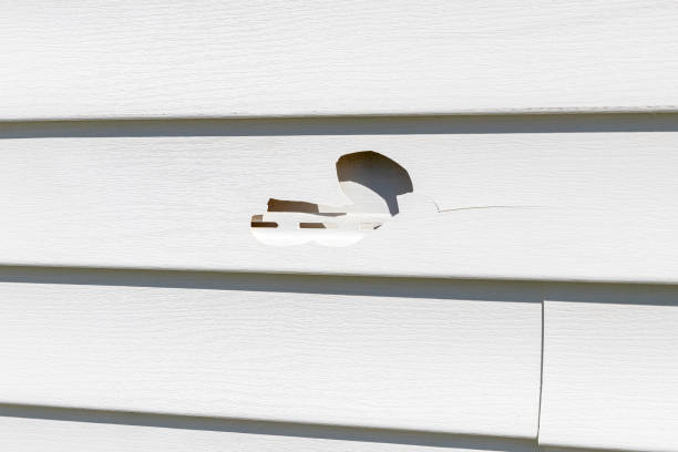 How To Choose The Right Materials for Your Siding Installation in 'Sachse, TX